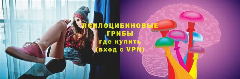 Галлюциногенные грибы Magic Shrooms  MEGA ссылка  Качканар  где можно купить  